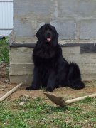 Превью фото № 124289