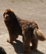 Превью фото № 124308