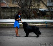 Превью фото № 124389