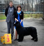 Превью фото № 124391