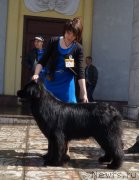 Превью фото № 124392