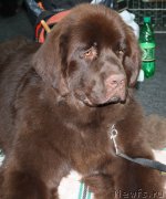 Превью фото № 124430