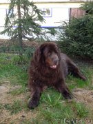 Превью фото № 124442