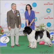 Превью фото № 124484