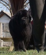 Превью фото № 124547