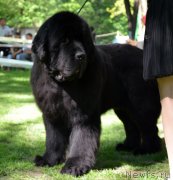 Превью фото № 124583