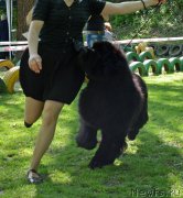 Превью фото № 124588