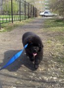 Превью фото № 124599