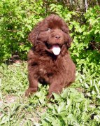 Превью фото № 124625