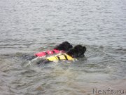 Превью фото № 124641