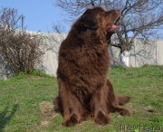 Превью фото № 124643