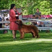 Превью фото № 124704