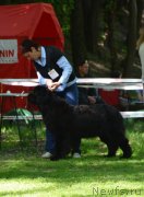 Превью фото № 124705