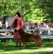 Превью фото № 124706