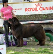 Превью фото № 124713