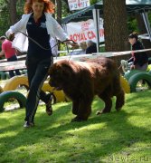 Превью фото № 124715