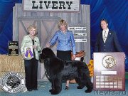 Превью фото № 124738