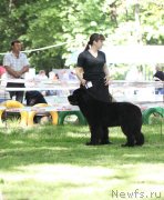 Превью фото № 124750