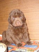 Превью фото № 124754