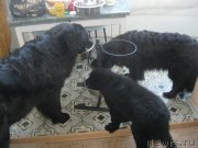 Превью фото № 124907