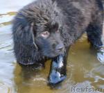 Превью фото № 12497