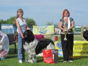 Превью фото № 124988