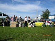 Превью фото № 124989