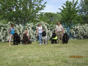 Превью фото № 124990