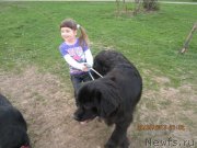 Превью фото № 124993