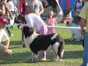 Превью фото № 125050