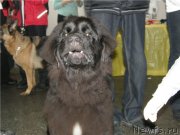 Превью фото № 125097