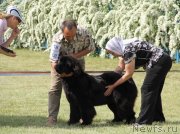 Превью фото № 125136