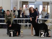 Превью фото № 125154