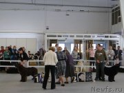 Превью фото № 125155