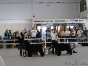 Превью фото № 125159