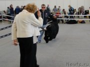 Превью фото № 125160