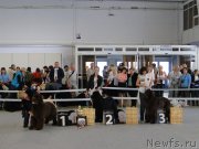 Превью фото № 125164