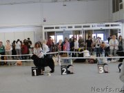 Превью фото № 125167