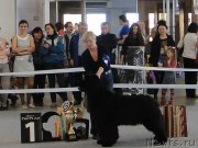 Превью фото № 125171