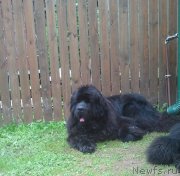 Превью фото № 125177