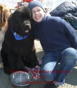 Превью фото № 125182