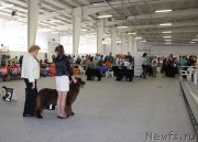 Превью фото № 125200