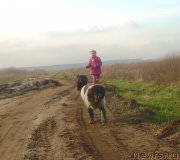 Превью фото № 125235