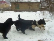 Превью фото № 125246