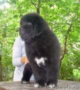 Превью фото № 125262