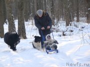 Превью фото № 125277