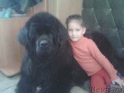 Превью фото № 125289