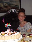 Превью фото № 125297