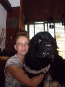 Превью фото № 125305