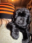 Превью фото № 125457